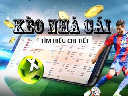 MCLUB-Hòa mình vào không khí trận đấu – Trực tiếp bóng đá!