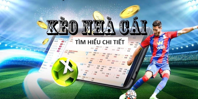 MCLUB-Hòa mình vào không khí trận đấu - Trực tiếp bóng đá!